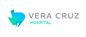 logo vera cruz zogaib seguros